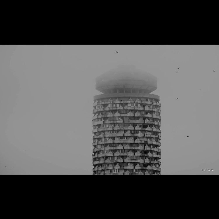 Archillect ID 379594