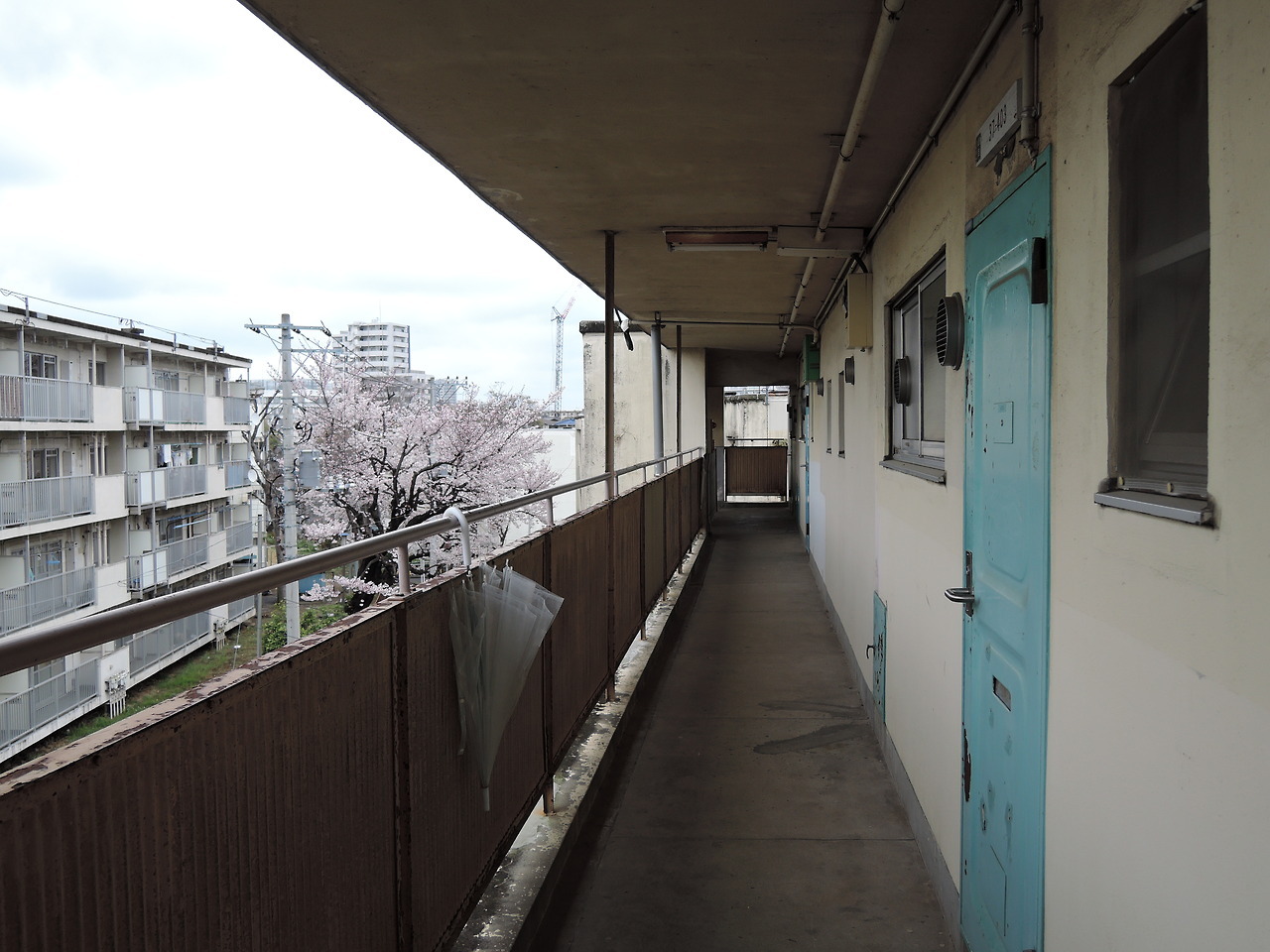 Archillect ID 379639