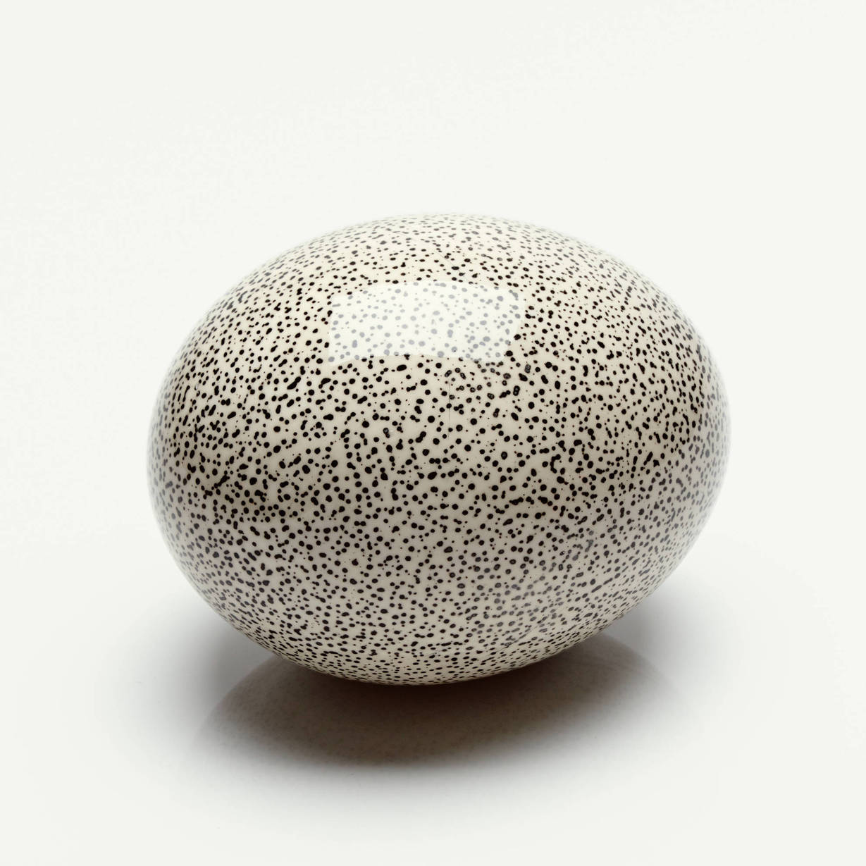 Archillect ID 379640