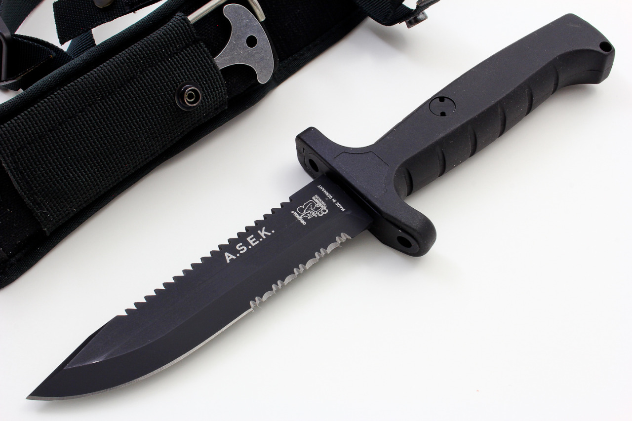 Archillect ID 379655