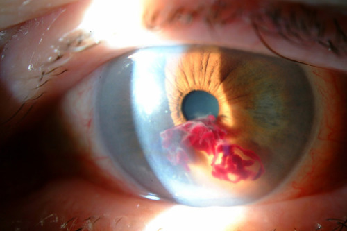 Archillect ID 379670