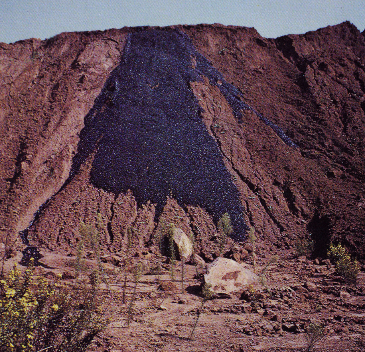 Archillect ID 379677