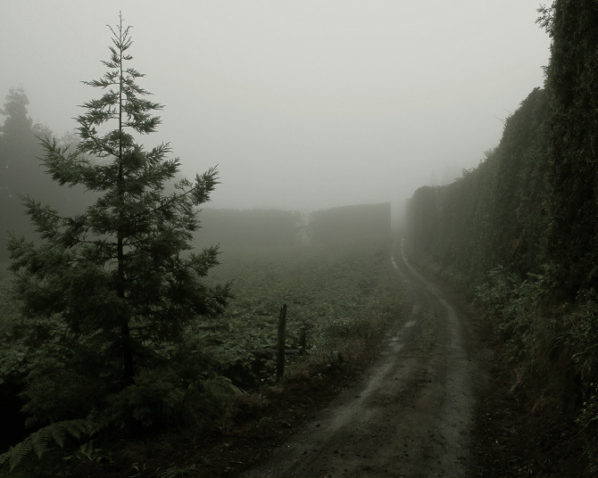 Archillect ID 379694