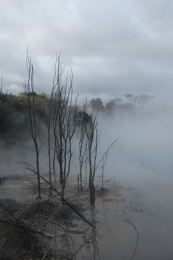 Archillect ID 379722