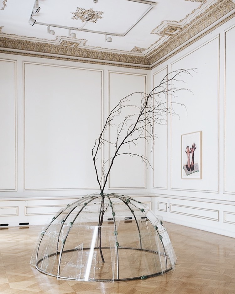 Archillect ID 379836