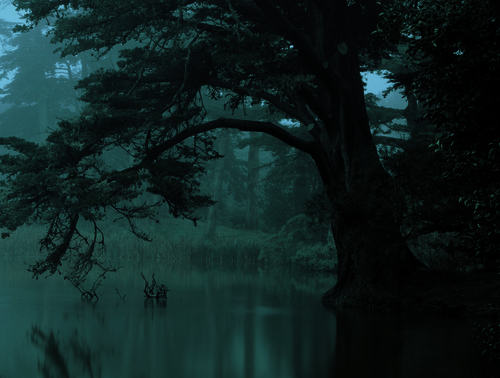 Archillect ID 379863