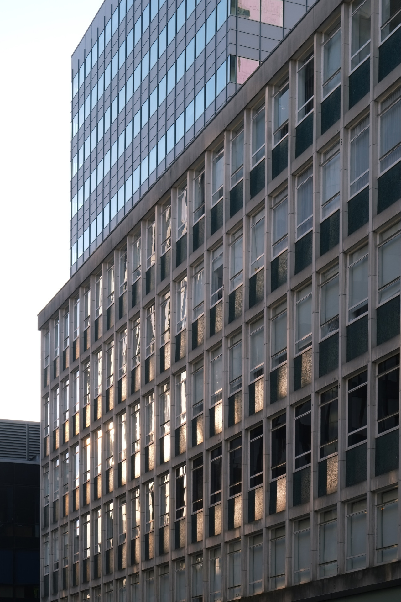 Archillect ID 379888