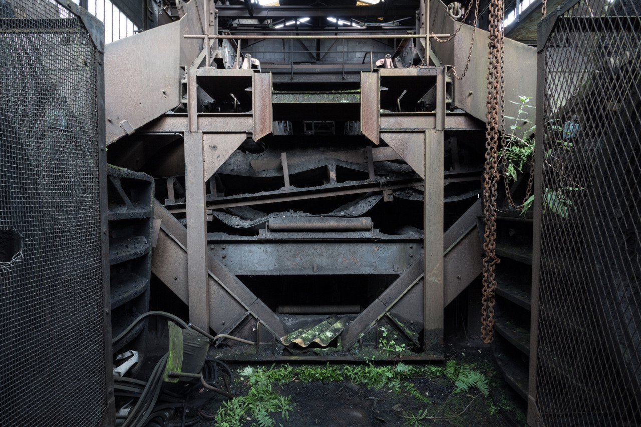 Archillect ID 379897