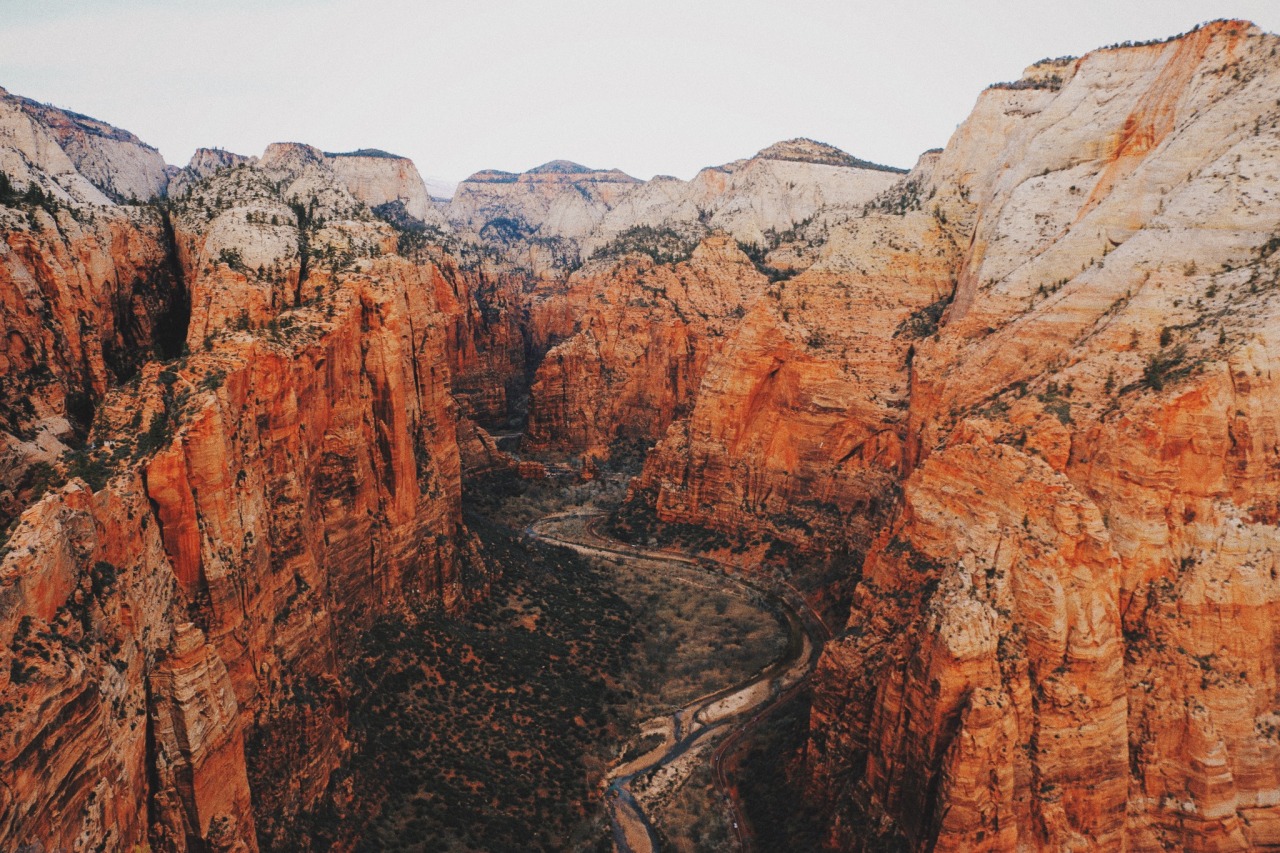 Archillect ID 379919