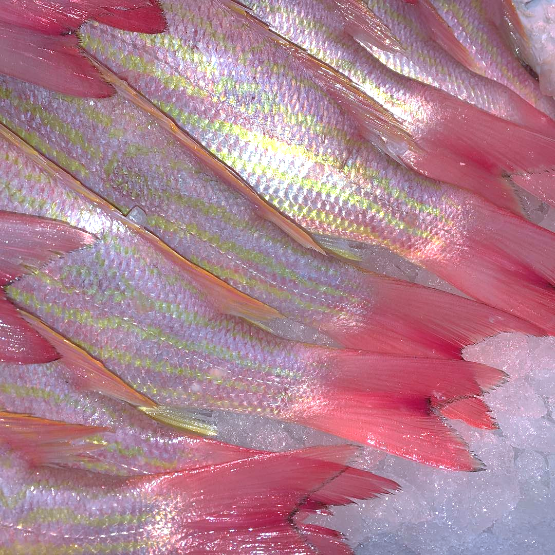 Archillect ID 379921