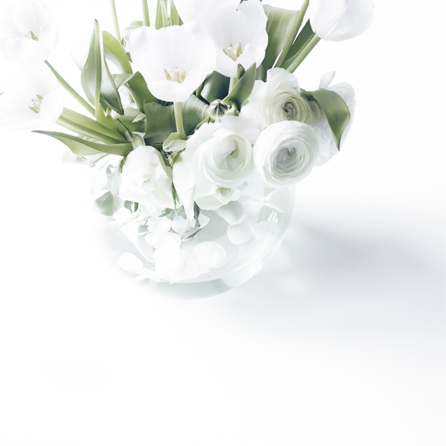 Archillect ID 379996