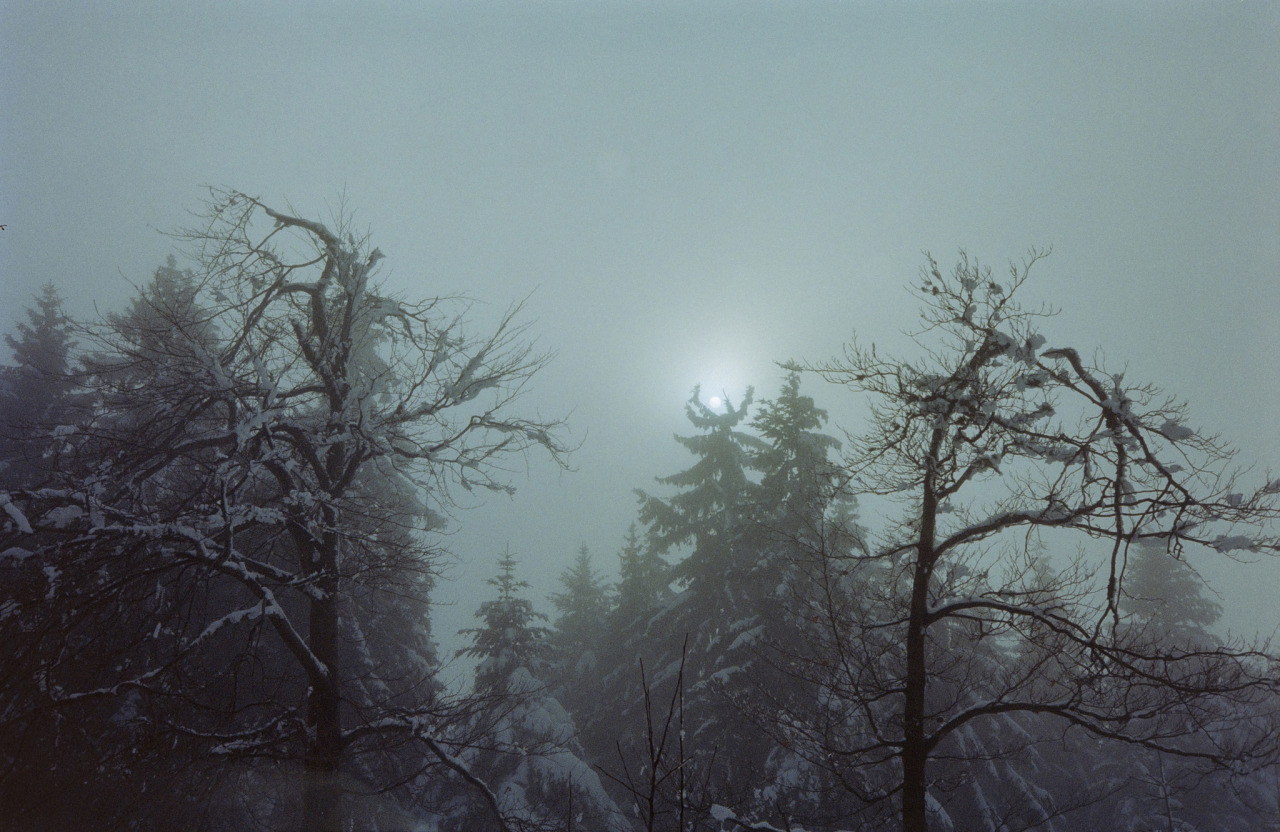 Archillect ID 379998