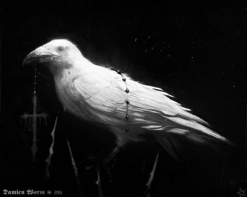 Archillect ID 380007