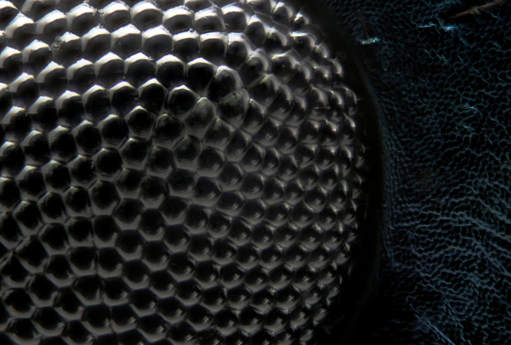 Archillect ID 380008