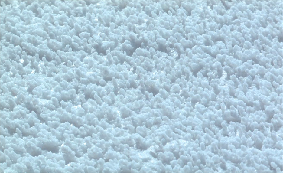 Archillect ID 380013