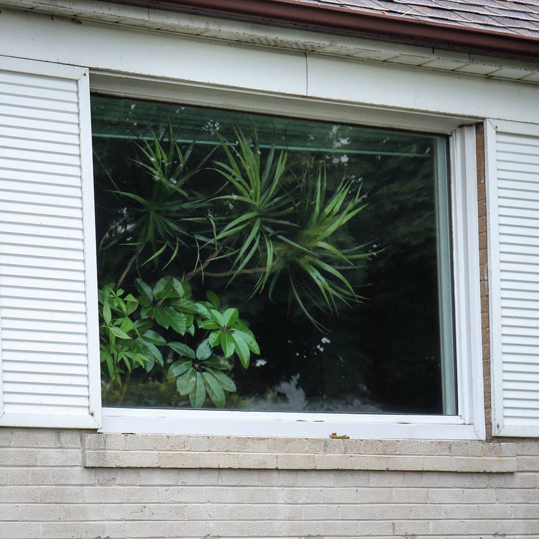 Archillect ID 380029