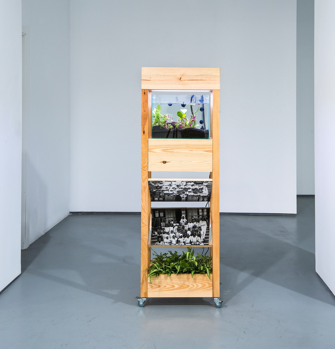 Archillect ID 380046