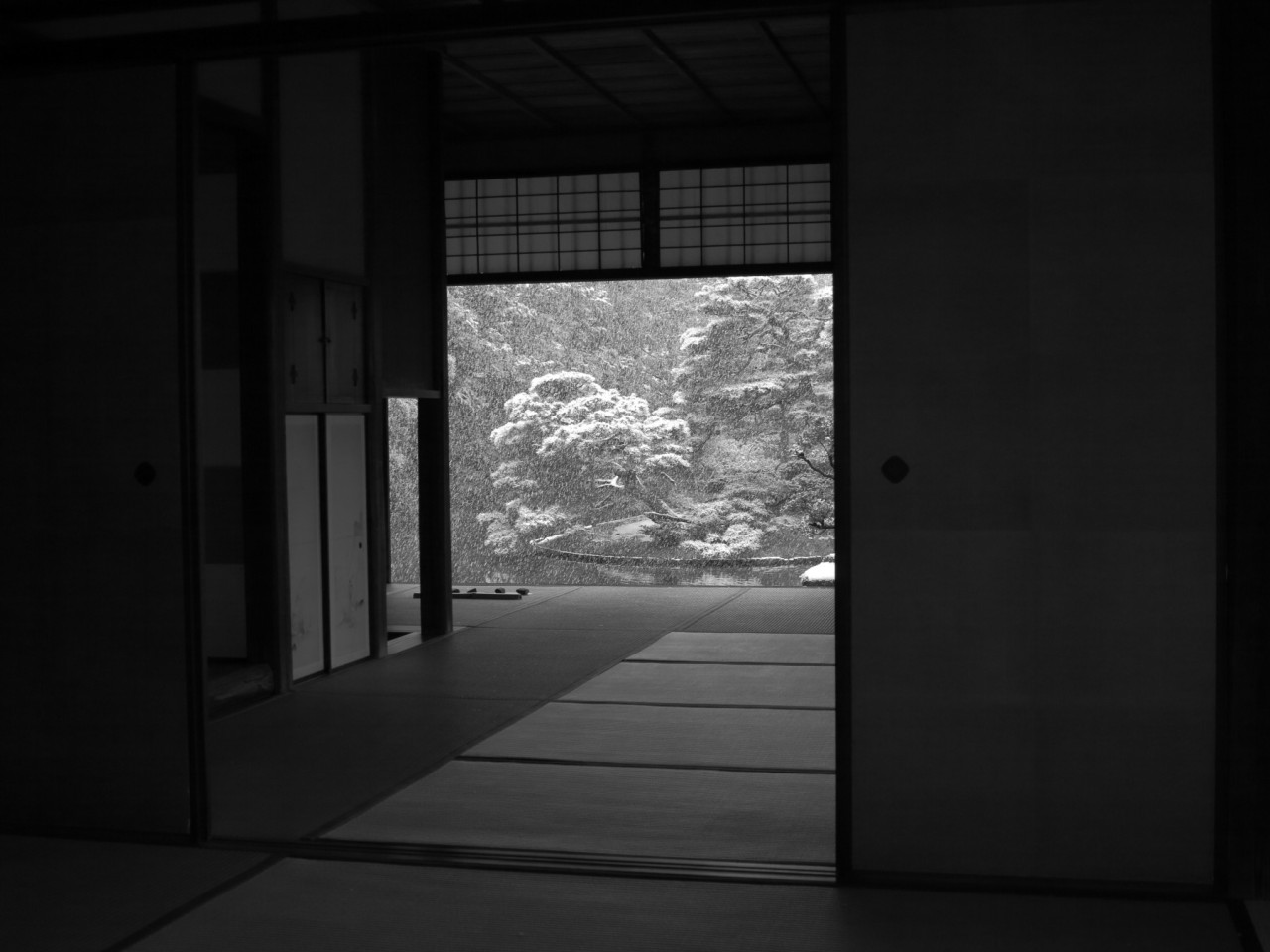 Archillect ID 380070