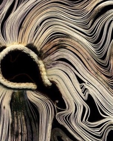 Archillect ID 380090