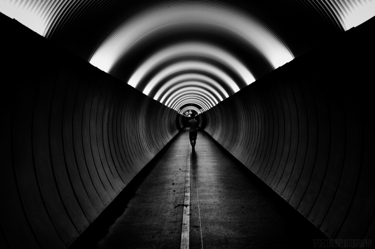 Archillect ID 380099