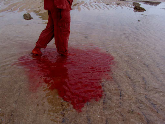 Archillect ID 380117