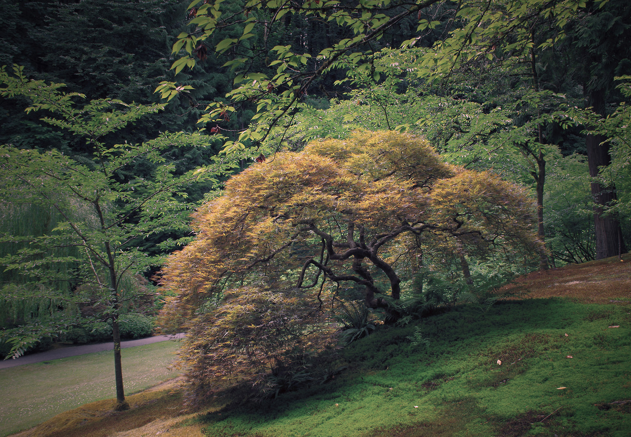 Archillect ID 380130