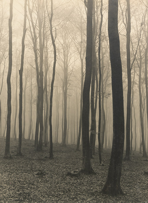 Archillect ID 380151