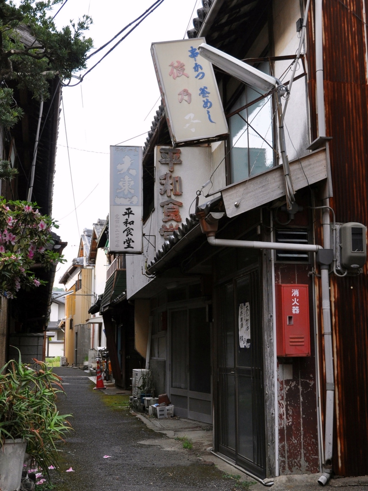 Archillect ID 380170