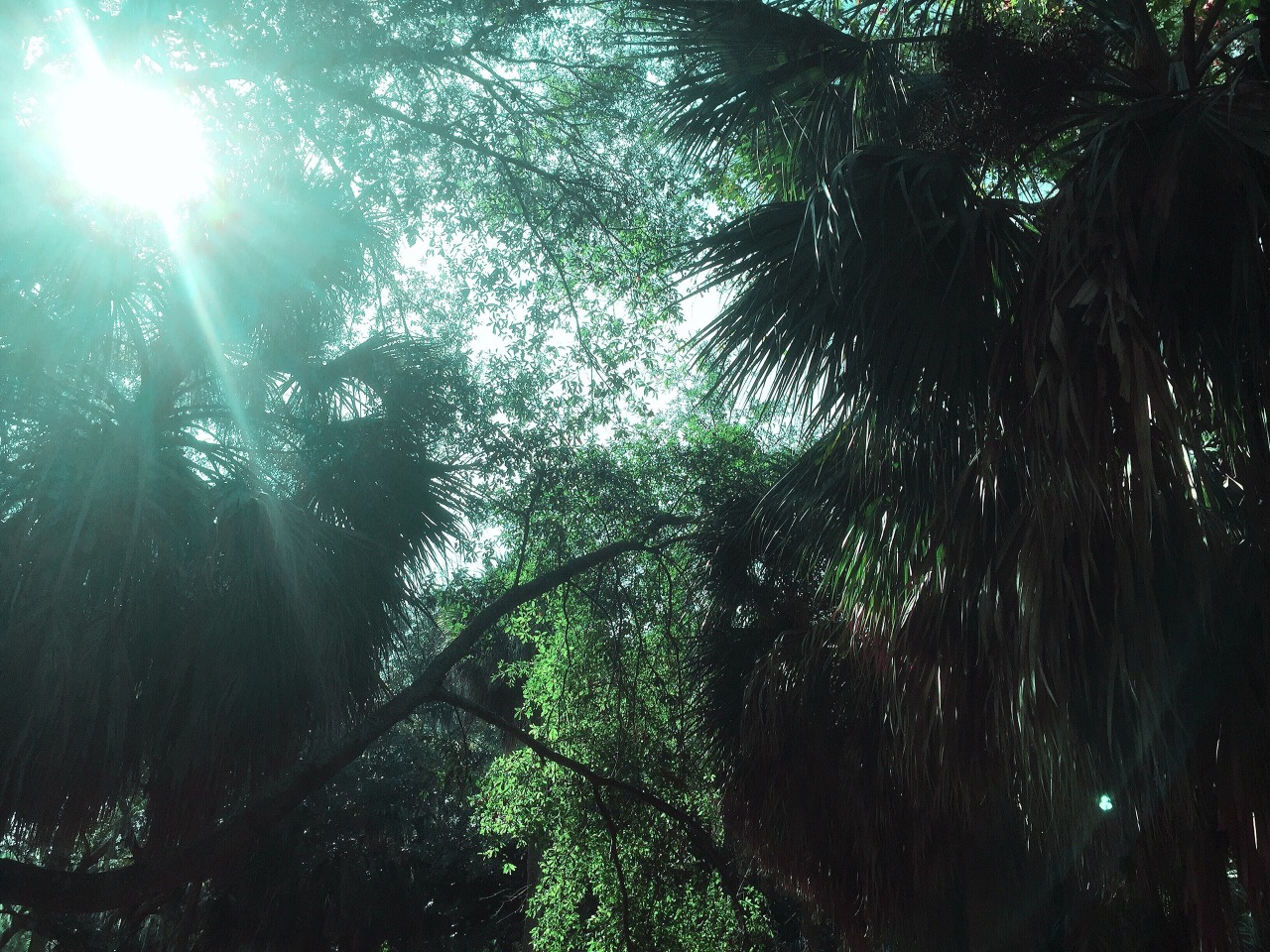 Archillect ID 380171