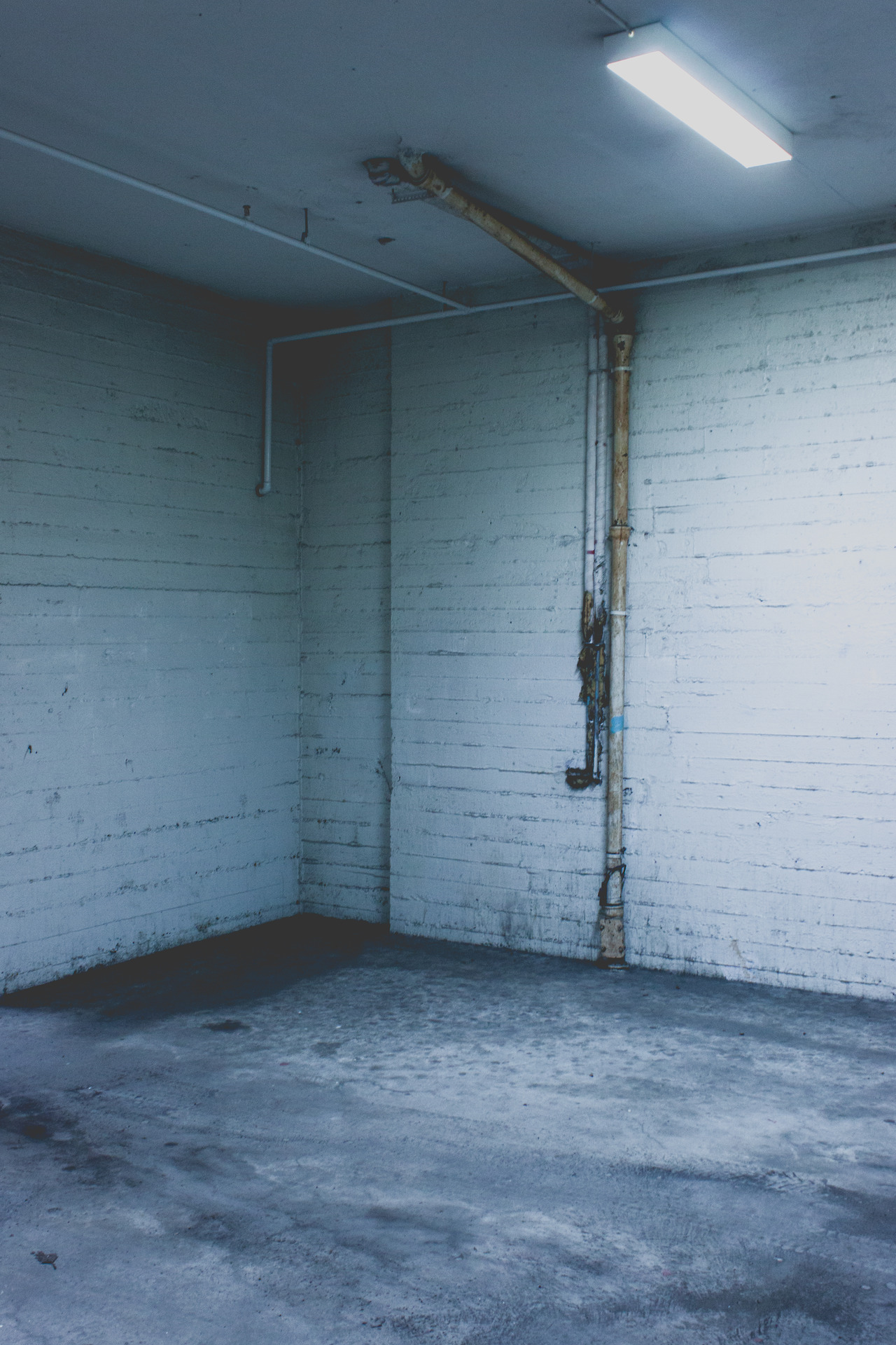 Archillect ID 380172