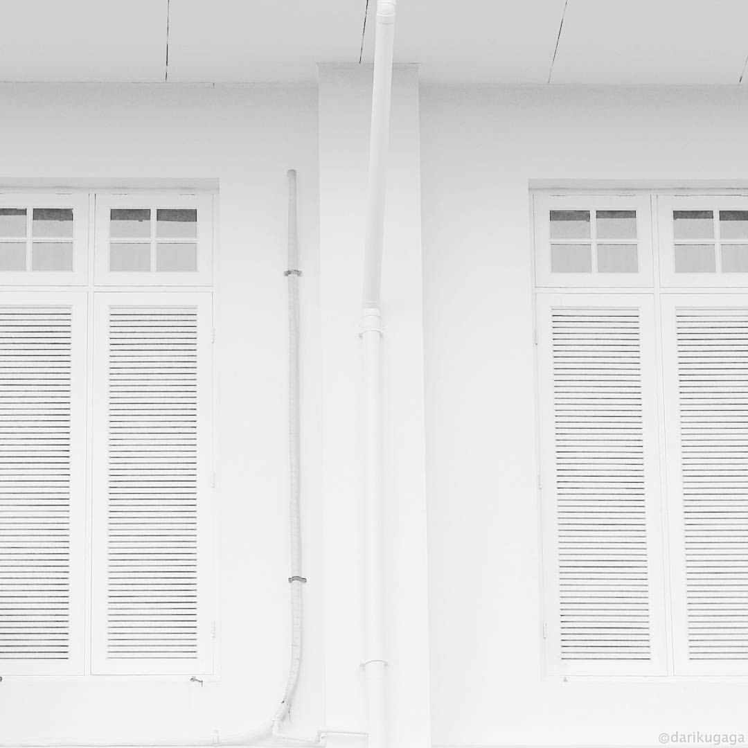 Archillect ID 380204