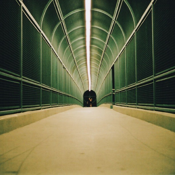 Archillect ID 380214