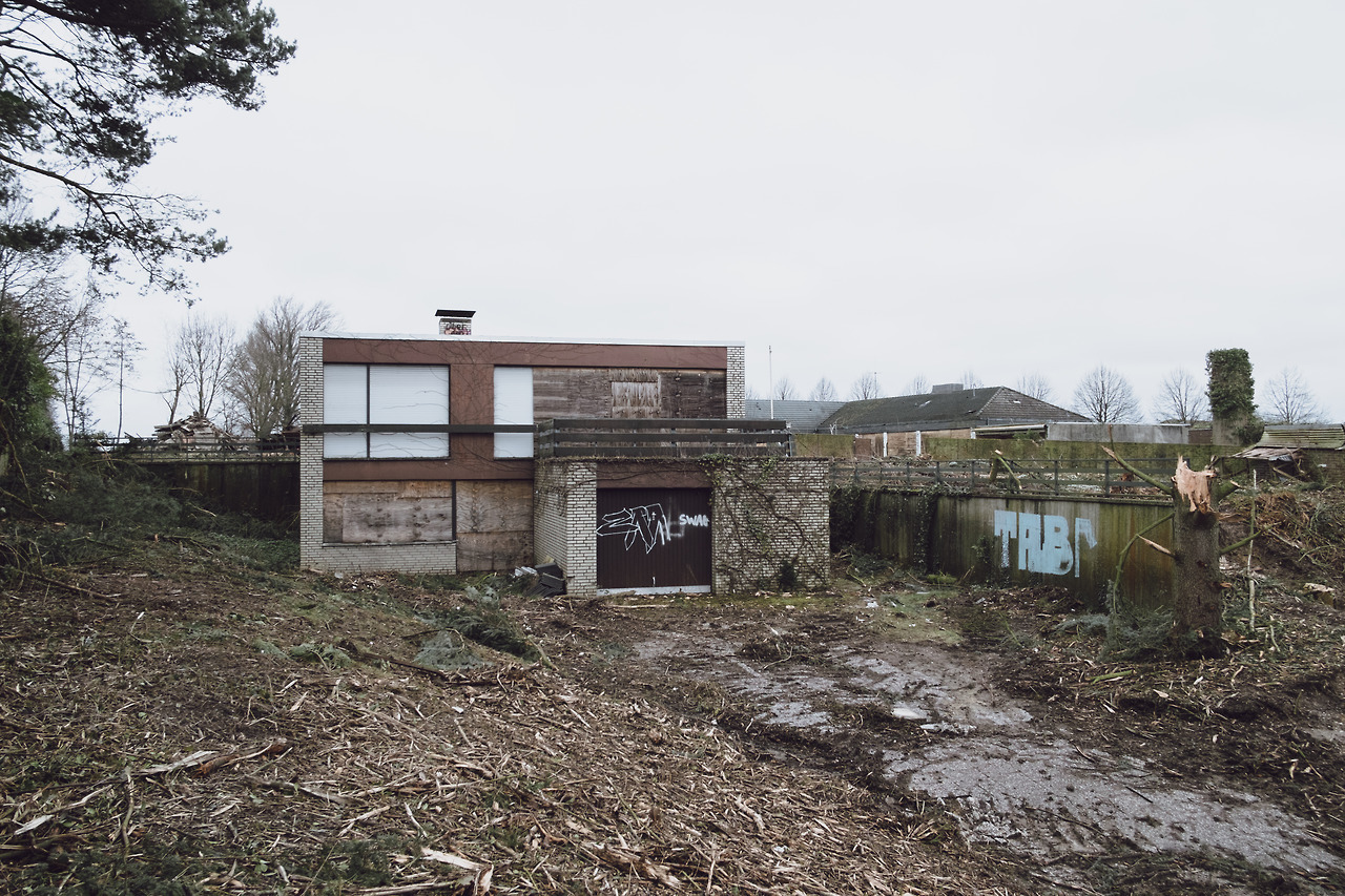 Archillect ID 380219