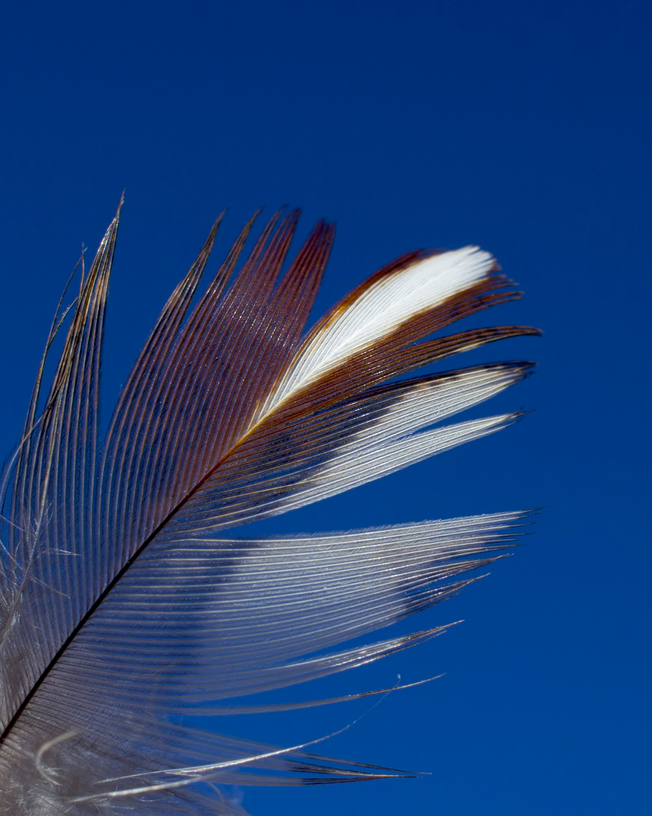 Archillect ID 380253