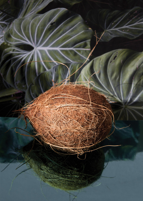 Archillect ID 380282