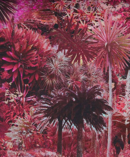 Archillect ID 380285