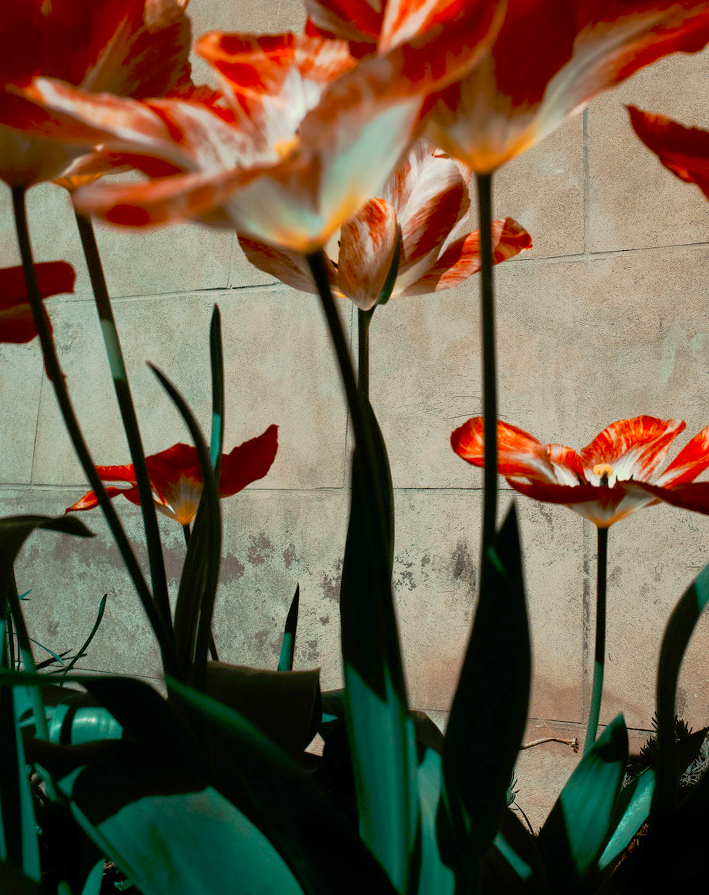 Archillect ID 380295