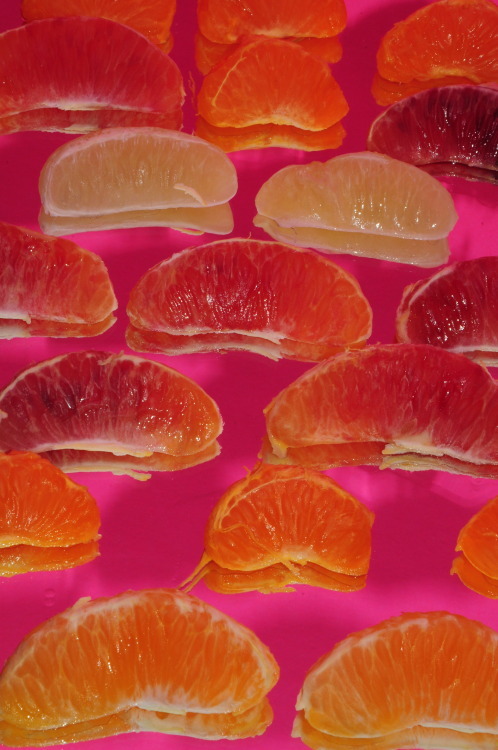 Archillect ID 380304