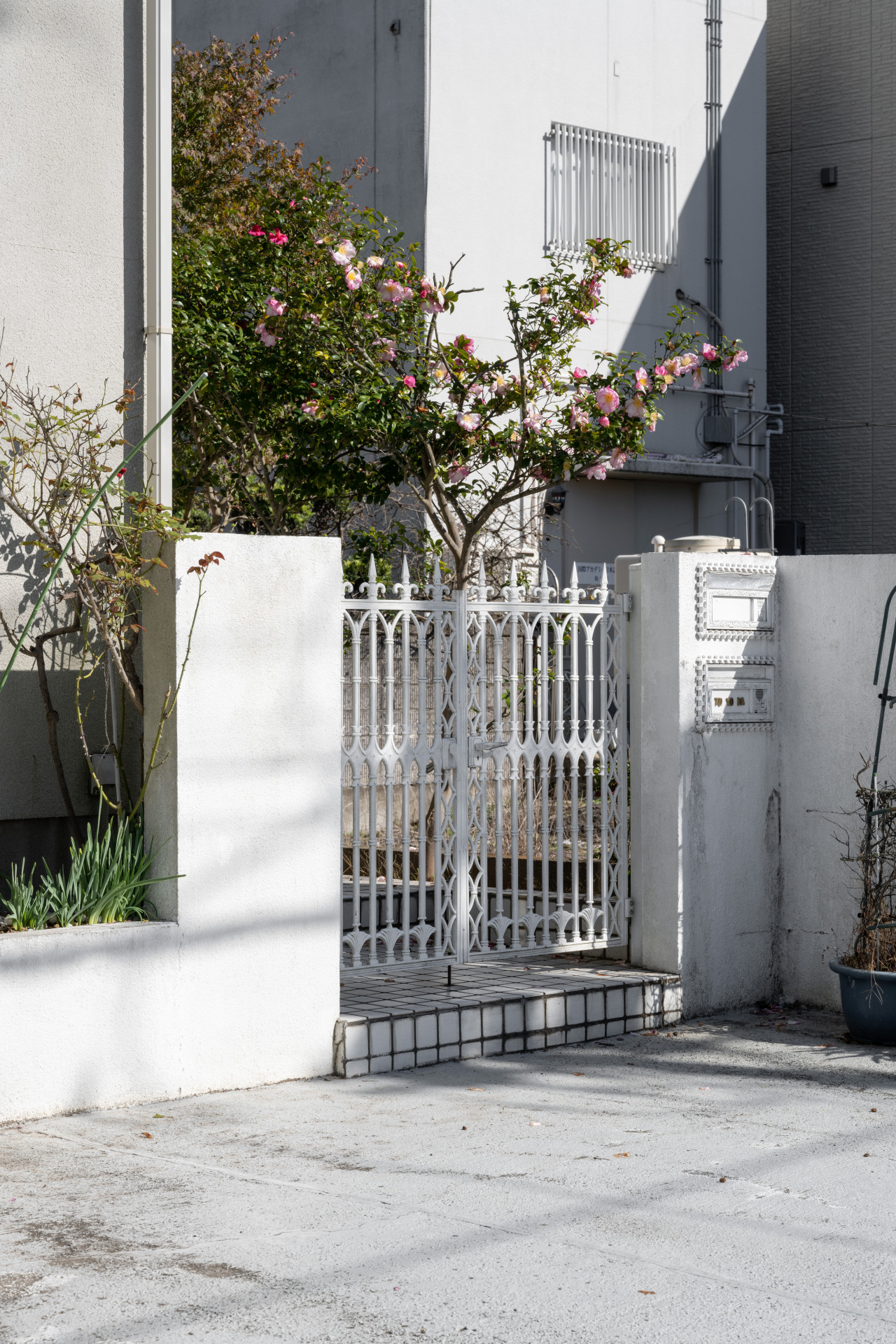 Archillect ID 380347