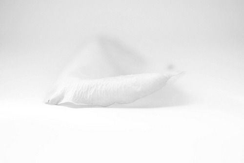 Archillect ID 380353