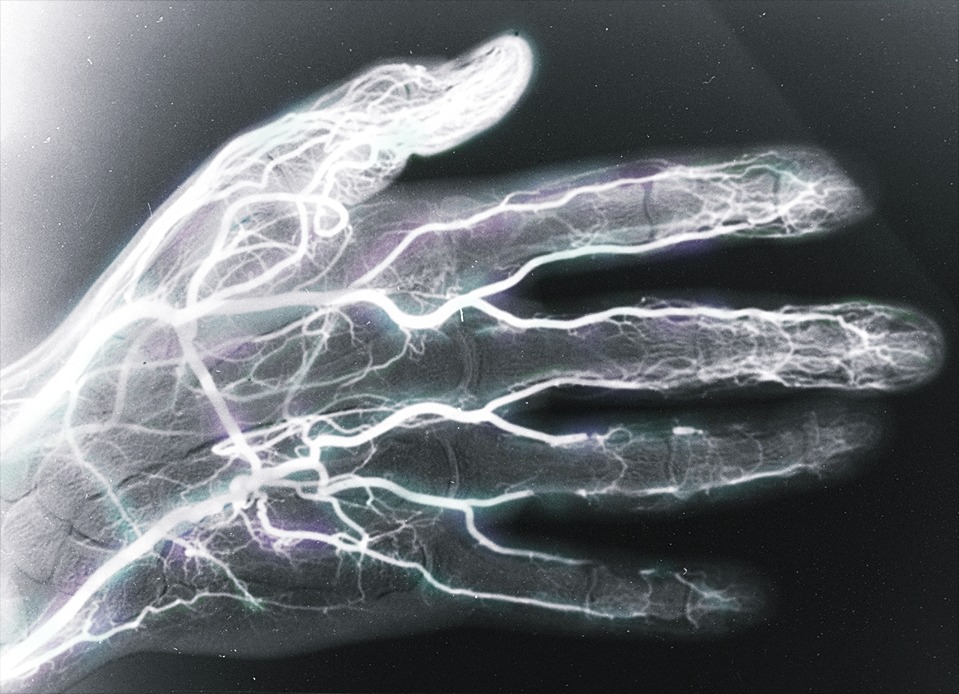 Archillect ID 380390