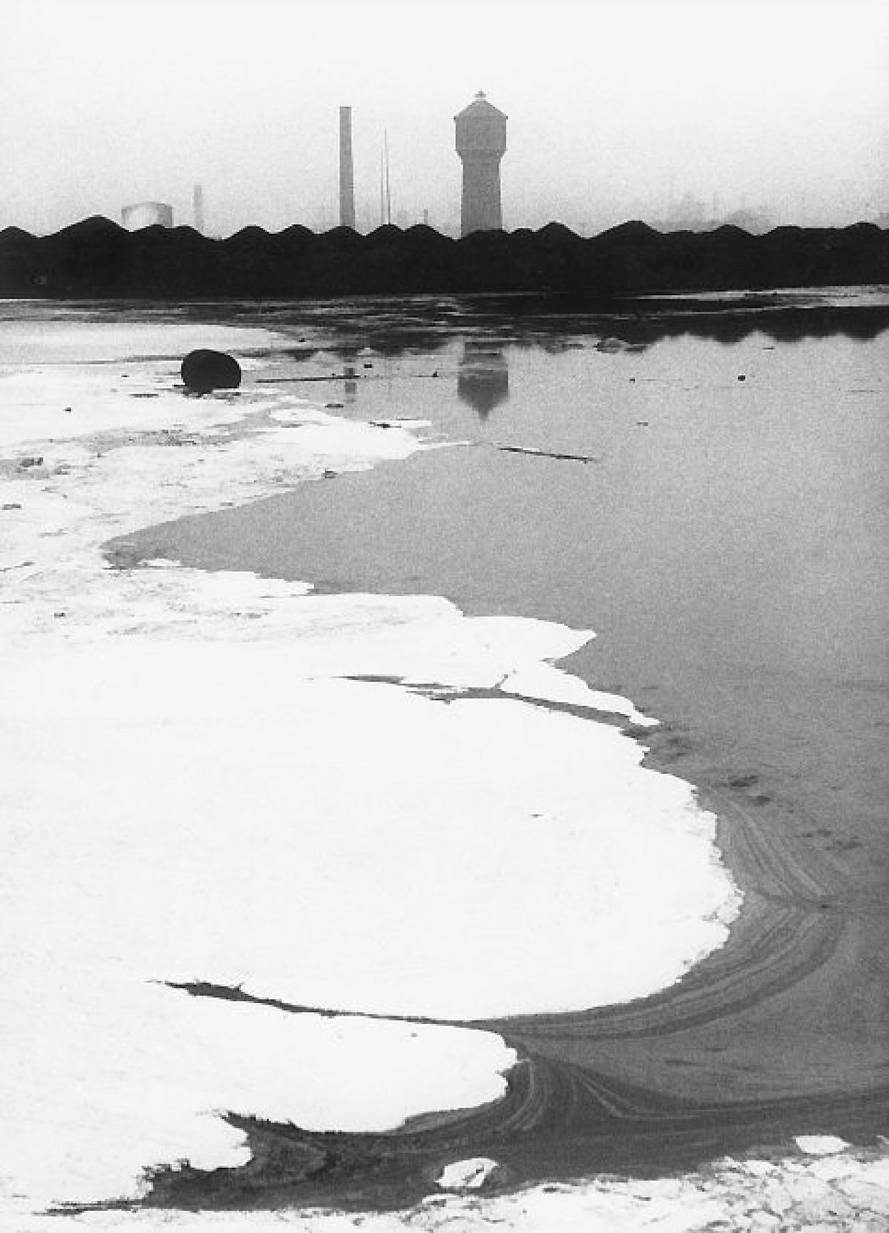 Archillect ID 380392