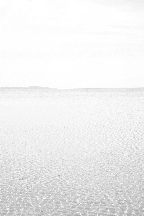 Archillect ID 380396