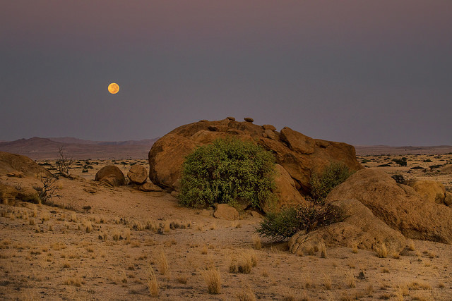 Archillect ID 380409