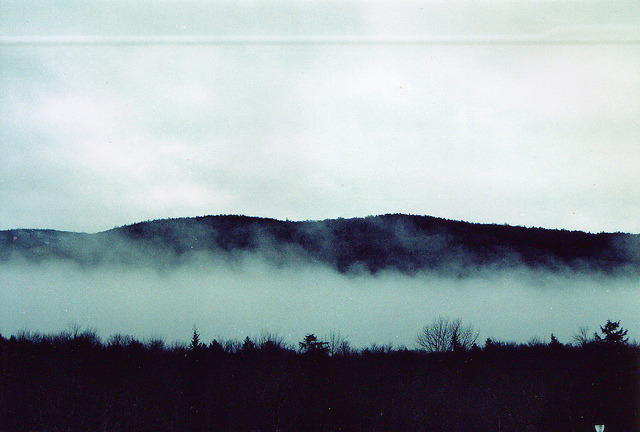 Archillect ID 380434