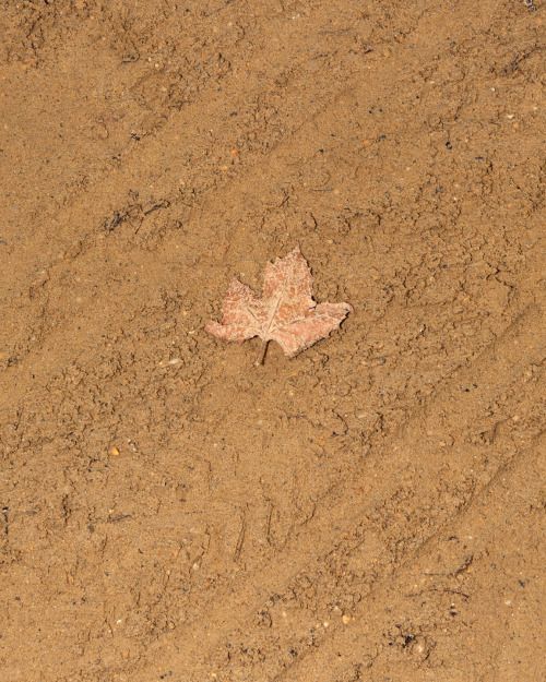 Archillect ID 380444