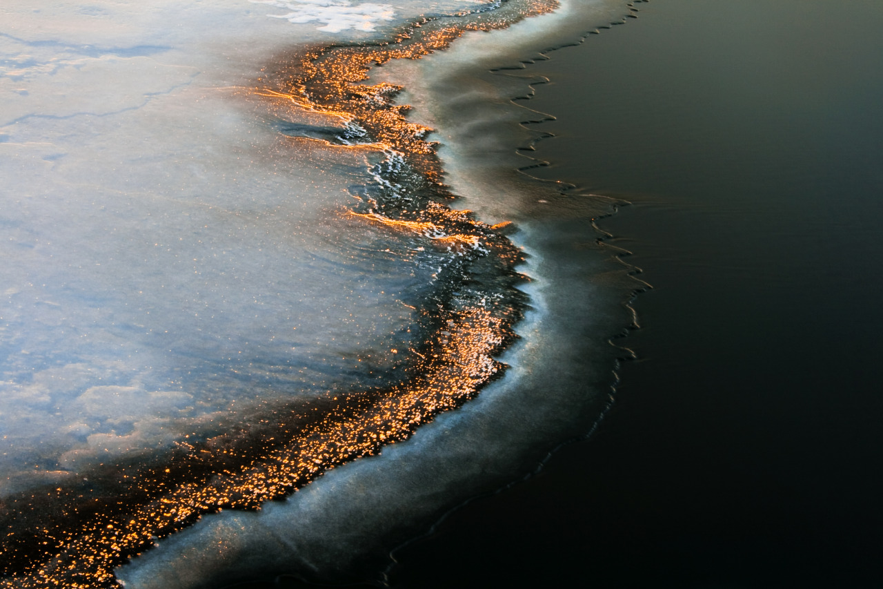 Archillect ID 380479