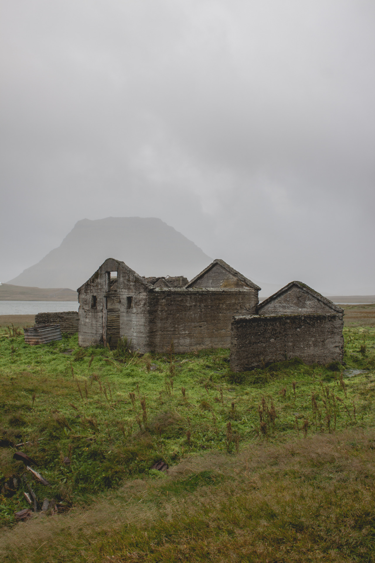 Archillect ID 380524