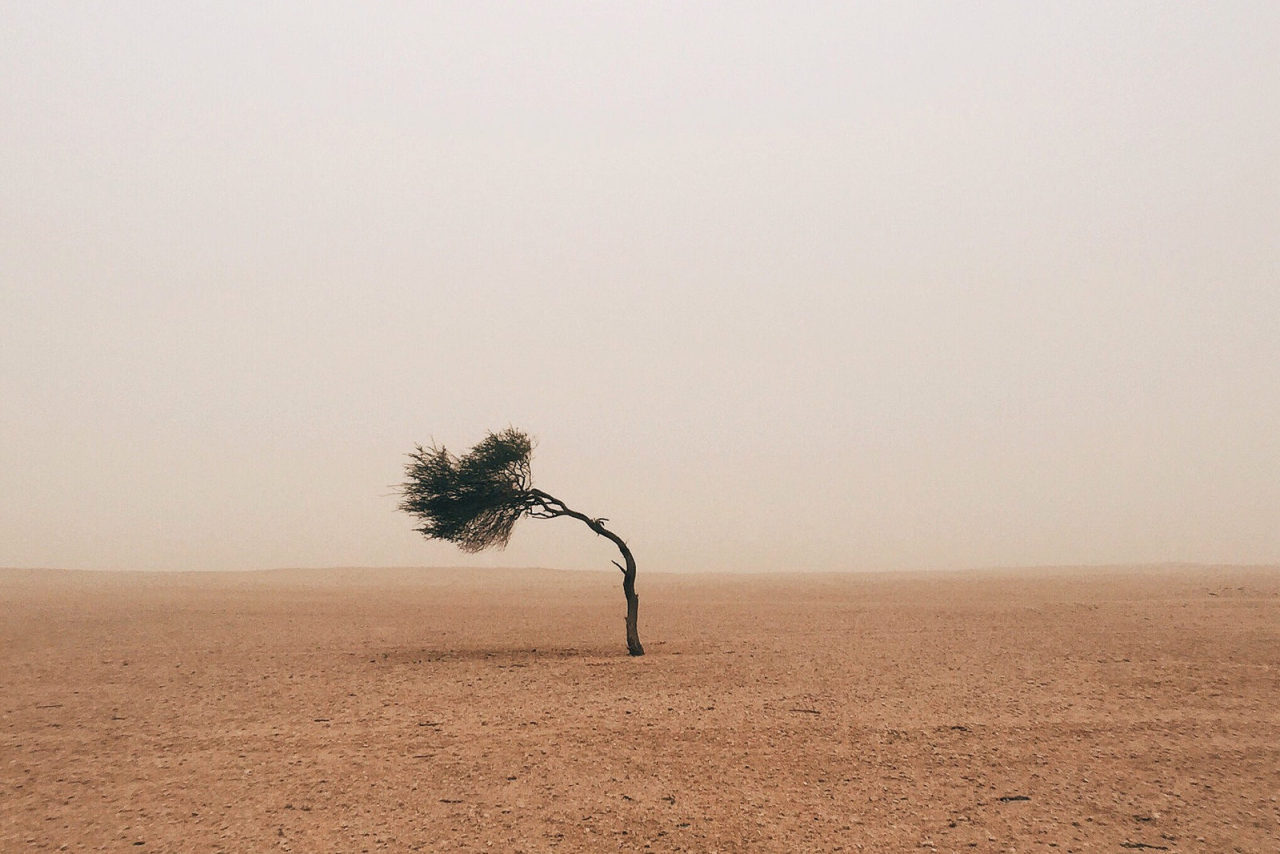 Archillect ID 380585