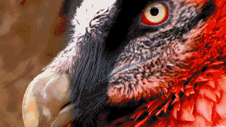 Archillect ID 380598